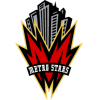 logo Metrostars