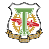 logo Torpedo-Metallurg