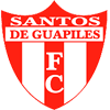 logo Santos de Guapiles