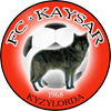 logo Kaysar Kyzylorda