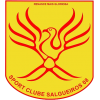 logo Salgueiros