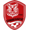 logo Correggese