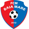 logo Minaur Baia Mare