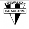 logo Sollenau