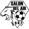 logo Salon-de-Provence