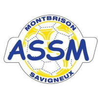 logo Savigneux Montbrison