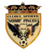 logo Soimii Pancota