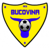 logo Bucovina Radauti