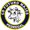 logo Futuro Majes