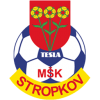 logo Tesla Stropkov