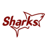 logo Kariobangi Sharks