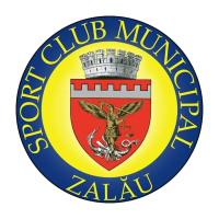 logo Zalau