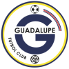 logo Guadalupe