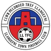 logo Llangefni Town