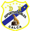logo Deportivo Robles