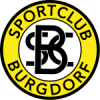 logo Burgdorf