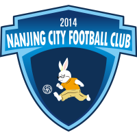 logo Nanjing City