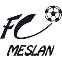 logo Meslan