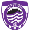 logo Hacettepe