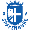logo Spakenburg