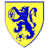 logo FC Salon
