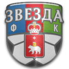 logo Zvezda Perm