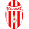 logo Colligiana