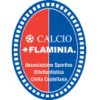 logo Flaminia