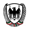 logo Shahin Bushehr