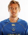 Peter Crouch 2008-2009