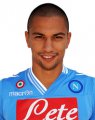 Gökhan Inler 2012-2013