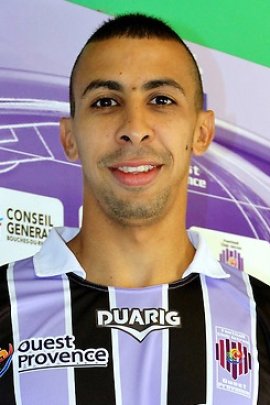Fouad Chafik 2013-2014