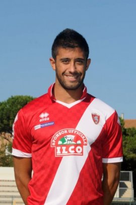 Luca Verna 2013-2014