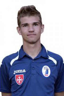 Ivan Provedel 2013-2014