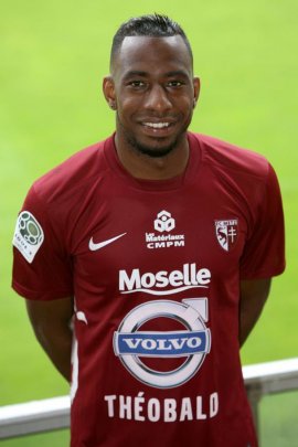 Romain Métanire 2013-2014