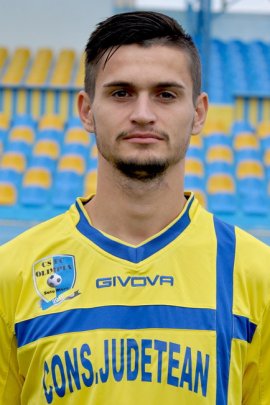 Marius Ionita 2014-2015
