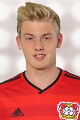 Julian Brandt 2014-2015