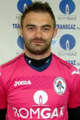 Razvan Plesca 2014-2015