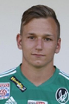 Felix Hebesberger 2015-2016