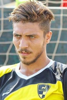 Mohamed Sherif 2016-2017