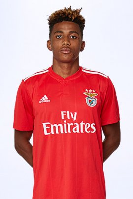 Gedson Fernandes 2018-2019