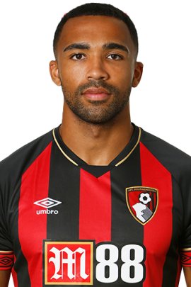 Callum Wilson 2018-2019