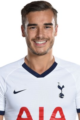 Harry Winks 2019-2020