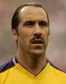 David Seaman