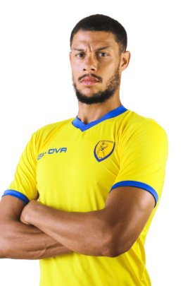 Rudy Gestede