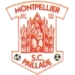 logo Montpellier