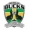 logo Flint City Bucks
