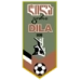 logo Dila Gori