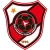 logo Shenzhen FC