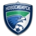 logo Novosibirsk